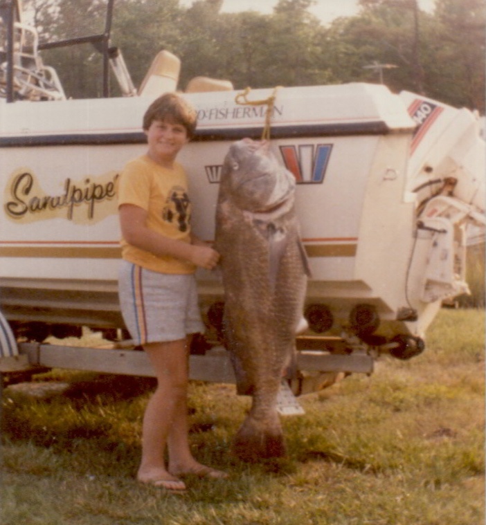 Chesapeake Bay Black Drum