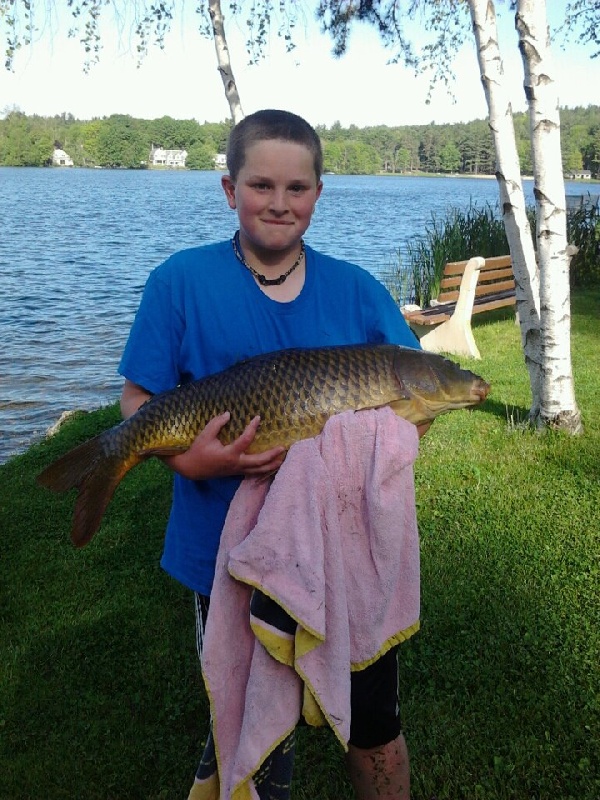 big carp