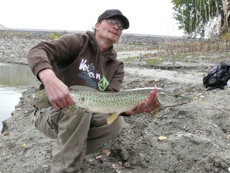 Tiger Muskie