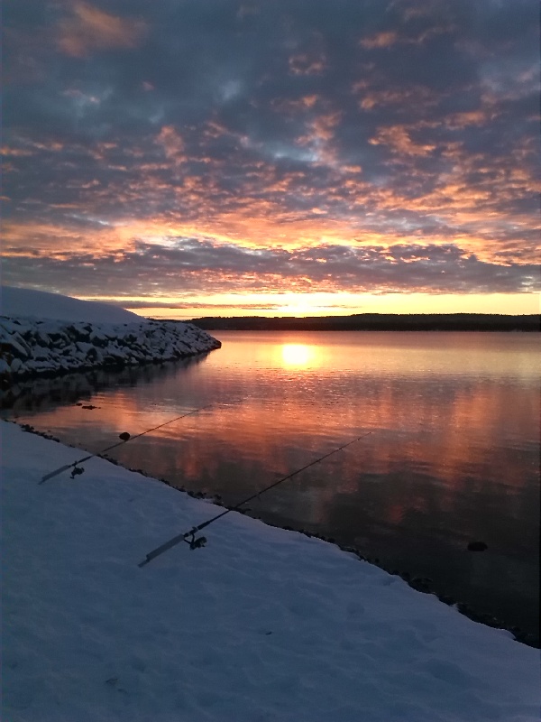 Muskie Adventure Tours Turkey Shoot 2014